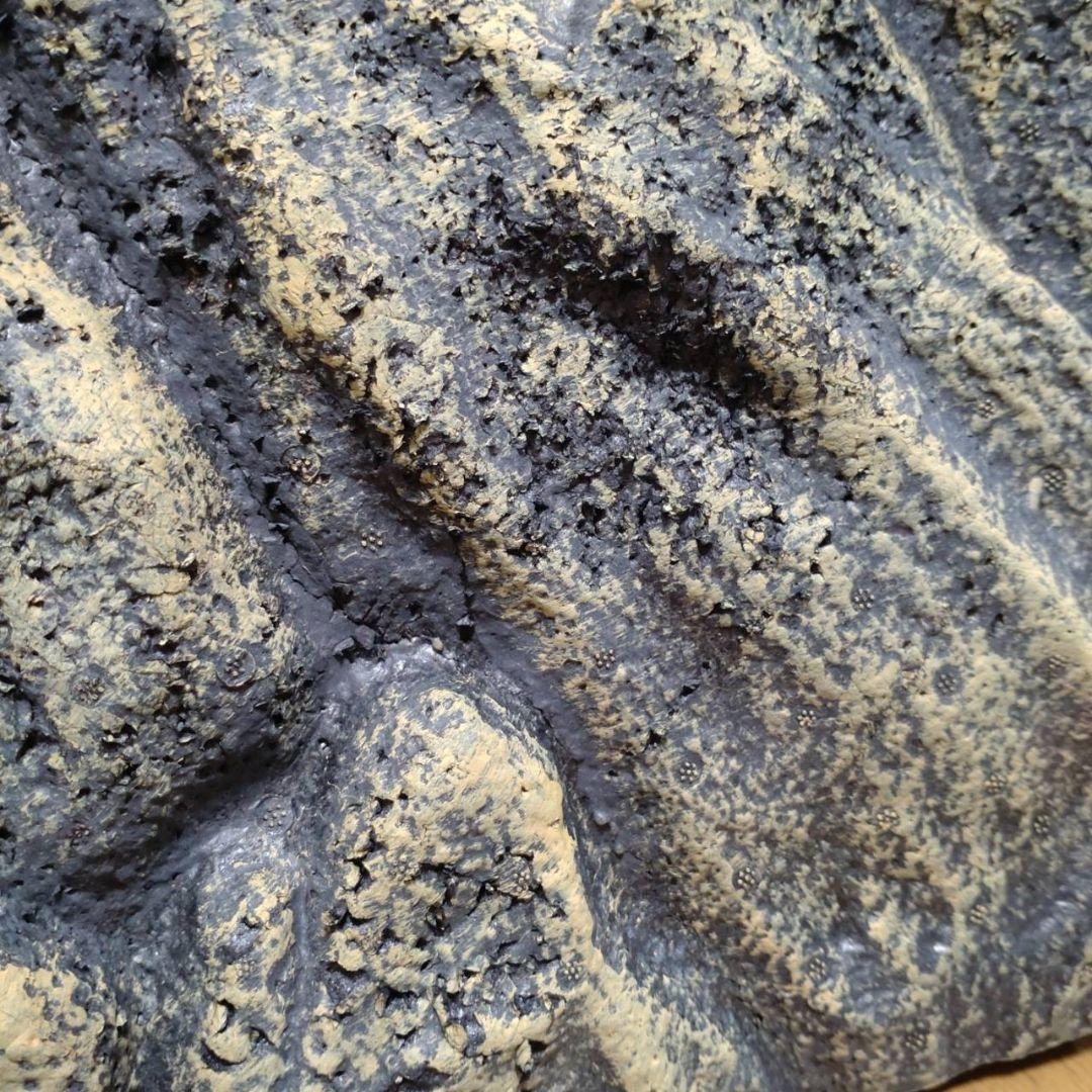 GEX エキゾテラ グラステラリウム 6030 リクガメ ケージ シェルター付き GEX エキゾテラ グラステラリウム 6030 リクガメ ケージ シェルター付き