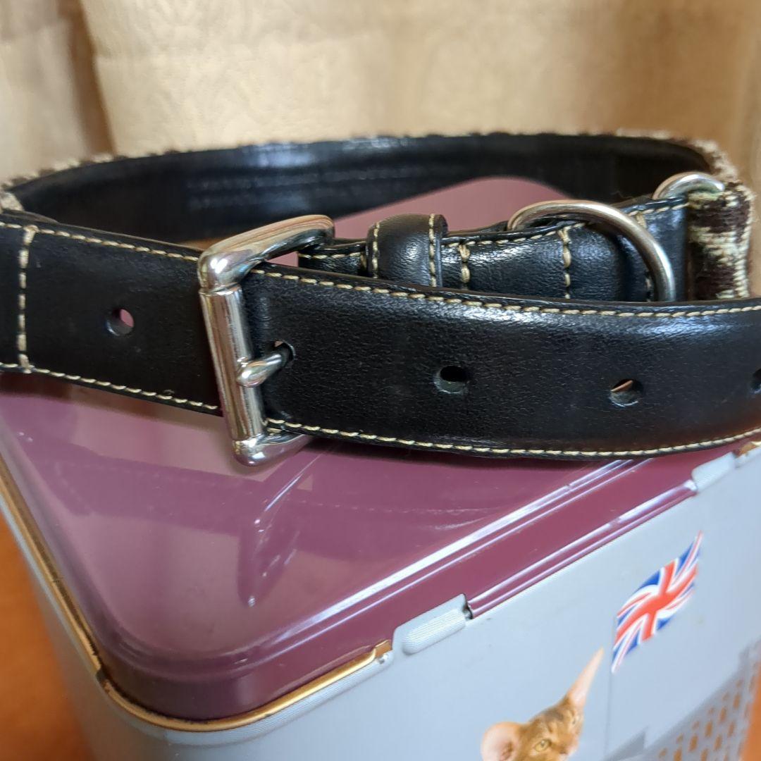 COACH大型犬用首輪L