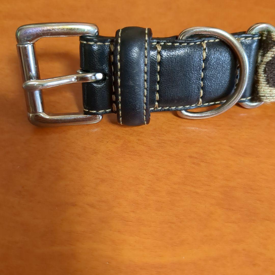 COACH大型犬用首輪L