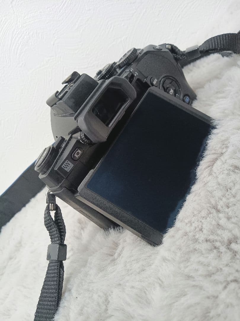 箱付き✧美品✧オリンパス OLYMPUS OM-D E-M1 レンズ付