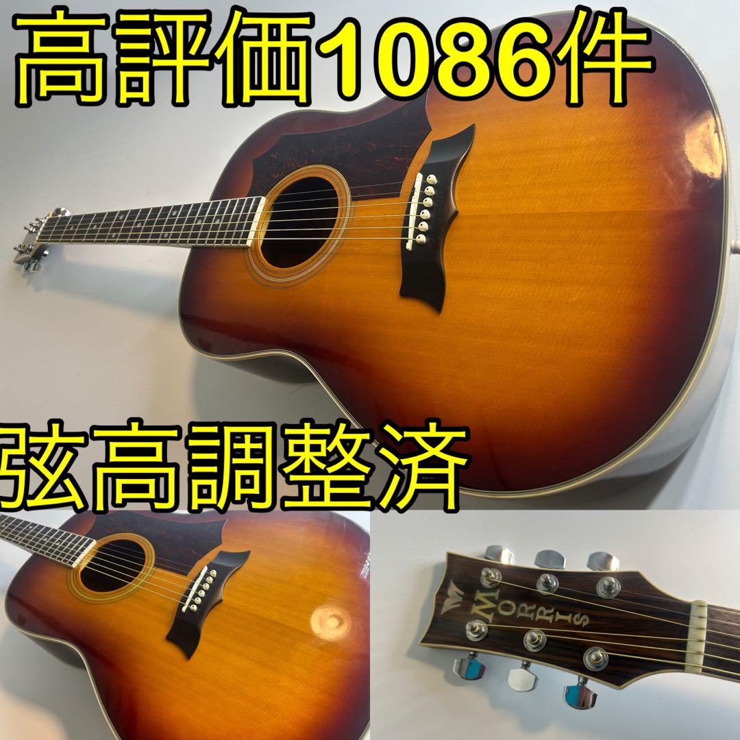 MORRIS モーリスMG-30 アコースティックギター縦ロゴ