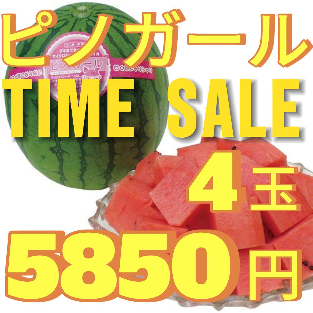 ５８５０円・先着順「小玉スイカランキング第1位」「ピノガール」種まで食べられます