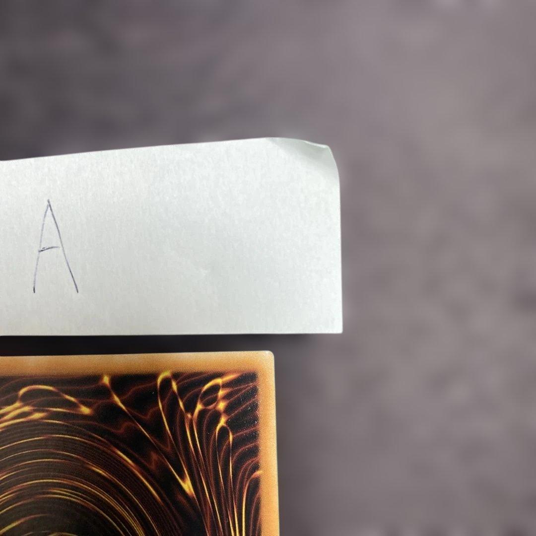 青眼の白龍（フランス語　レリーフ）