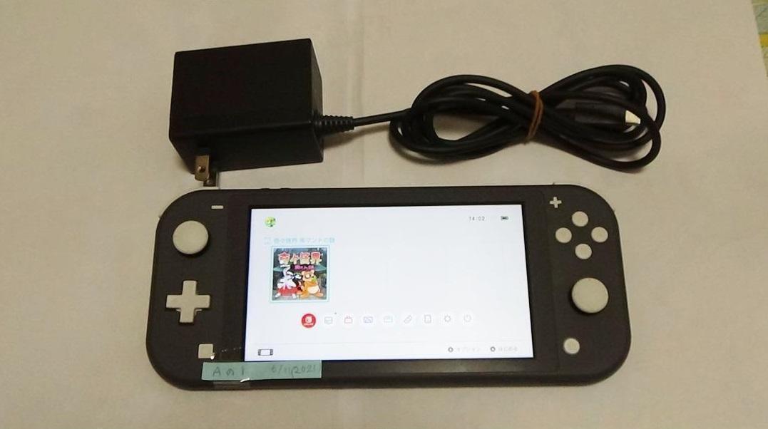 ⑤　　Nintendo Switch Lite グレー 本体　　充電器付き
