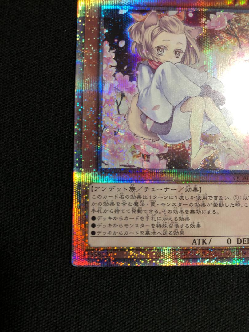 遊戯王　灰流うらら　25thシークレット　絵違い　QCAC