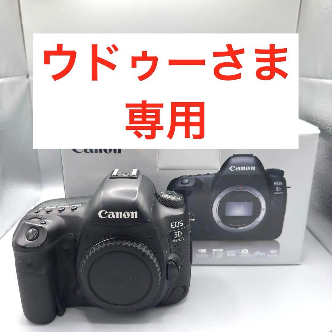 Canon EOS 5D Mark IV ボディ 一眼レフ