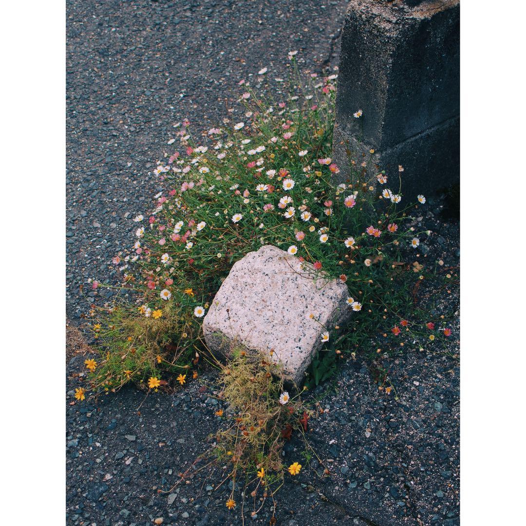 PANASONIC LUMIX DMC-LX7 コンパクトデジタルカメラ