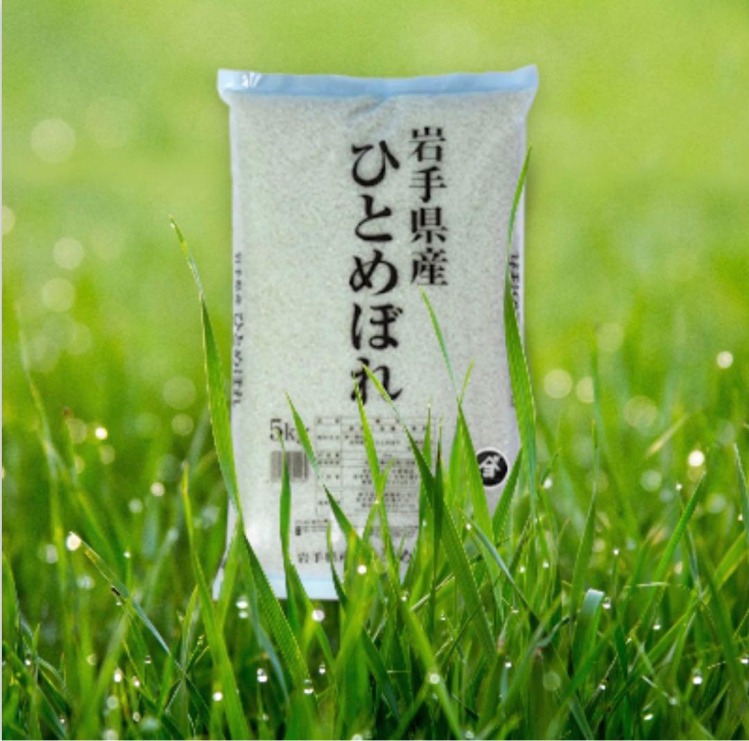 米 白米【食べ比べセット10kg】ひとめぼれ 5kg 銀河のしずく5kg