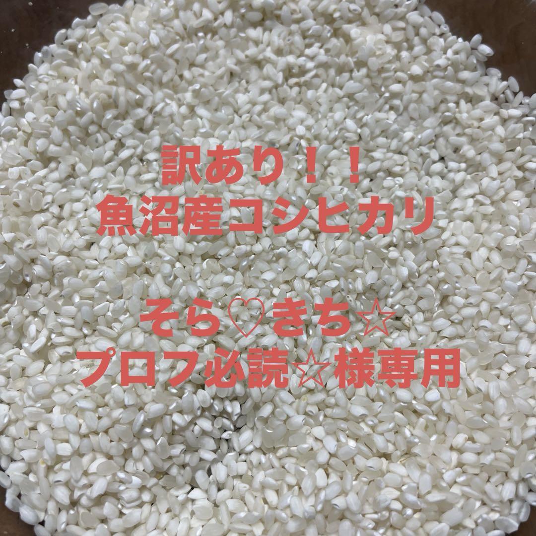 訳あり令和6年魚沼産コシヒカリ10kg※注意事項必読！！
