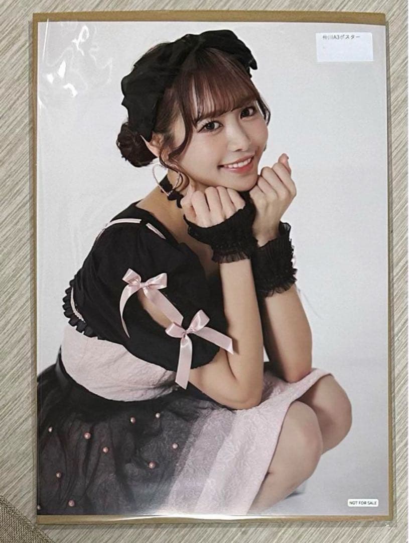 フルーツジッパー 仲川瑠夏　ポスター フルーツジッパー 仲川瑠夏 生誕祭 オンライン特典会 A3ポスター