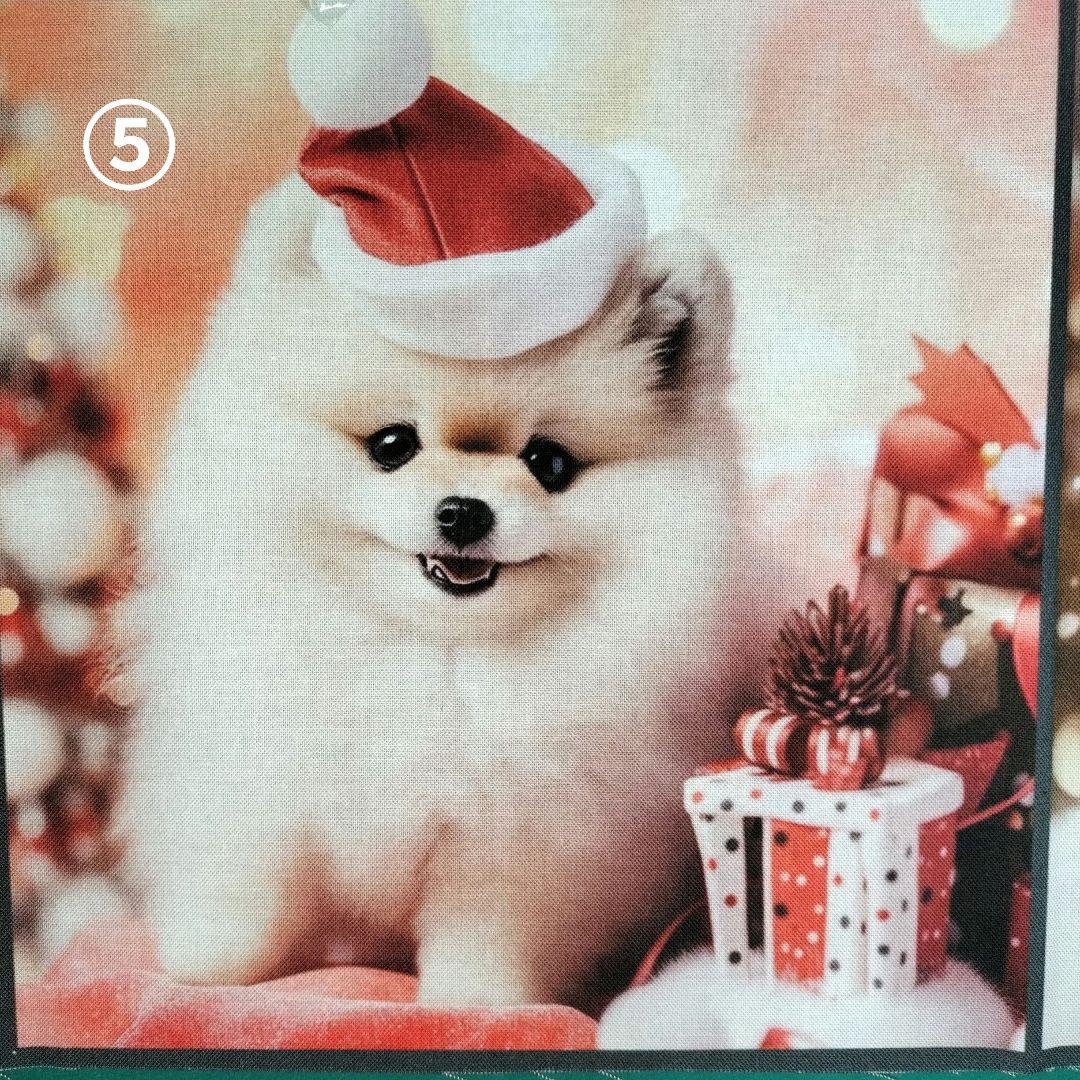 ♡クリスマスポメちゃんオーダーページ