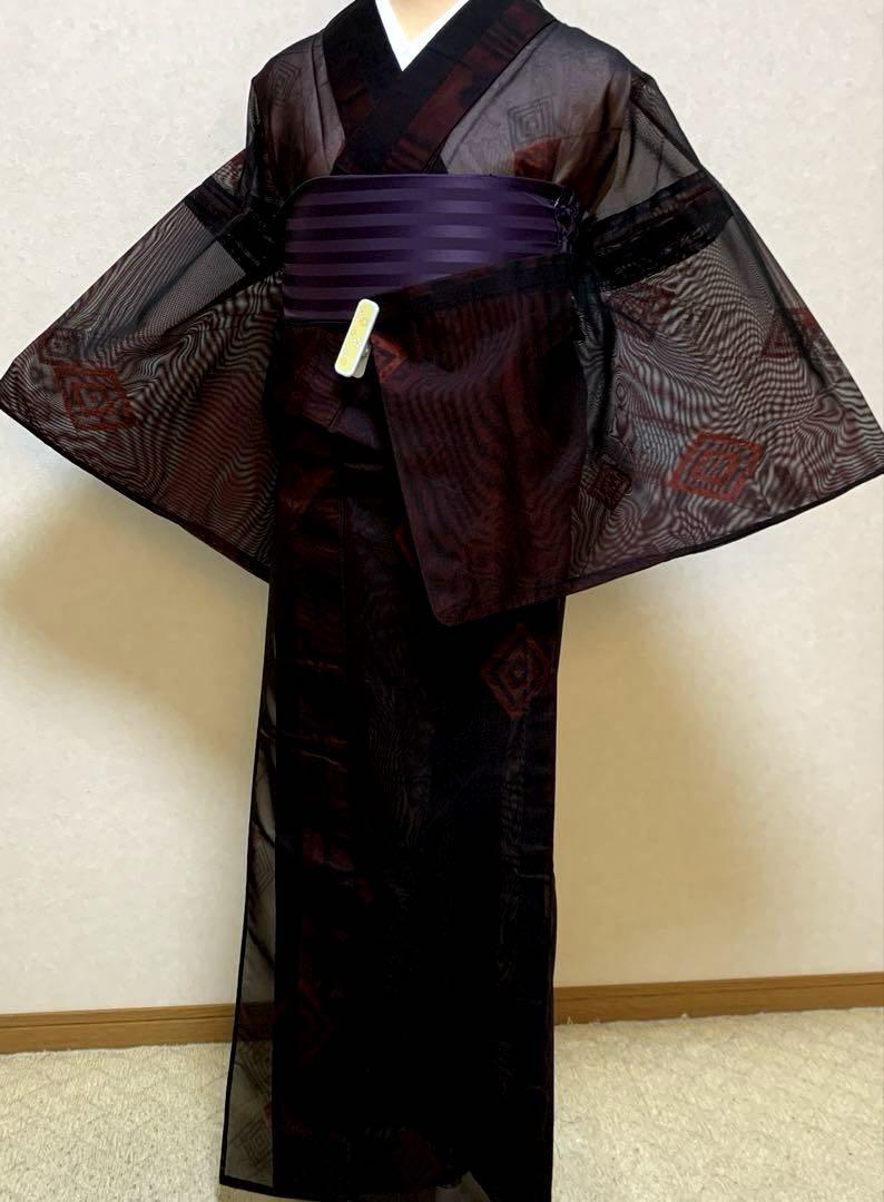 新品 紋紗 縦縞 夏着物 正絹“着て見て体感！涼を湛えて縞を引く