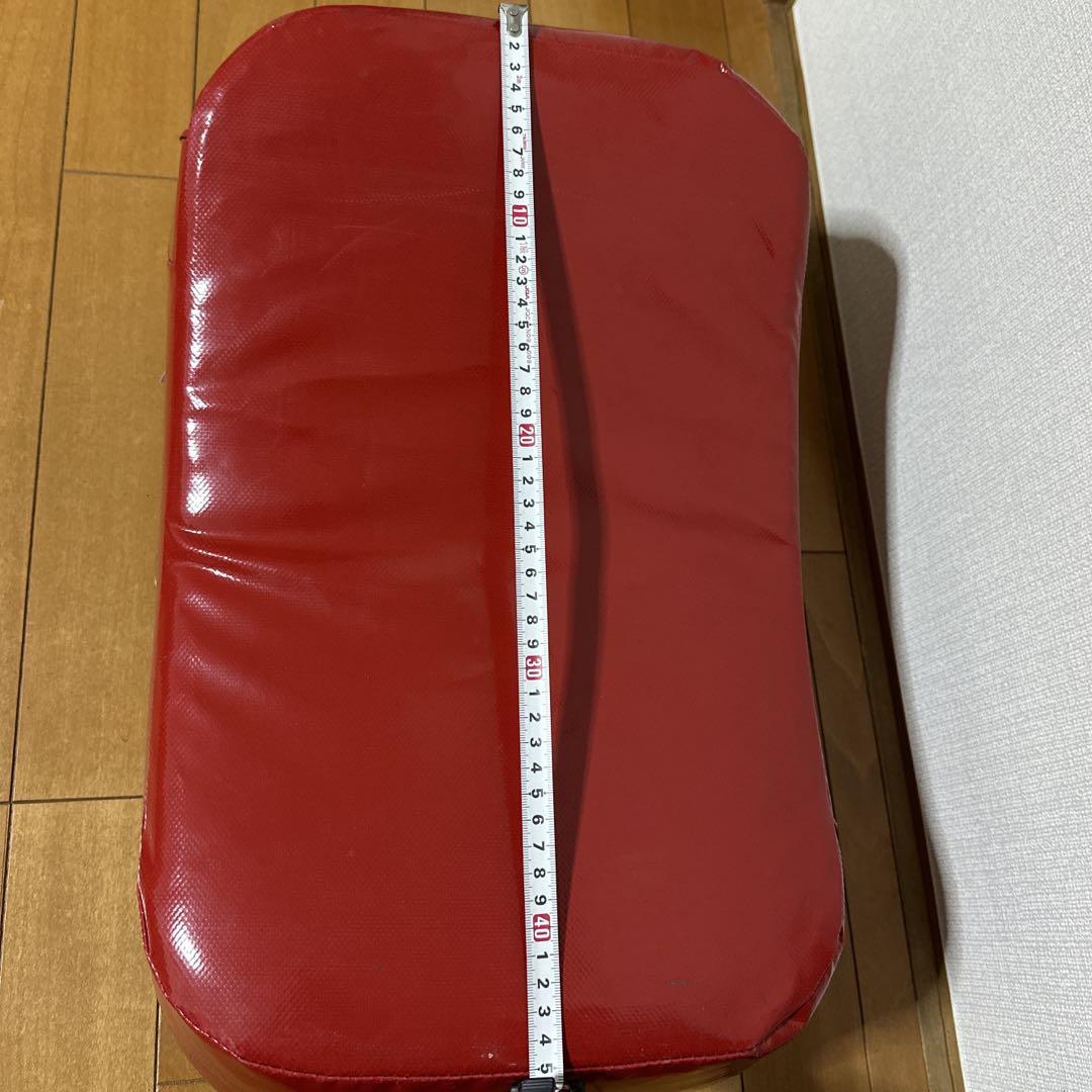 ISAMIボクシングキックミット（空手）