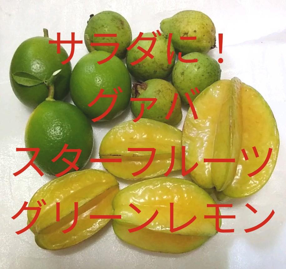 メルカリ 沖縄フルーツ3種 サラダ用 スターフルーツ グァバ レモン 果物 2 099 中古や未使用のフリマ メルカリ 沖縄フルーツ3種 サラダ用 スターフルーツ グァバ レモン 果物 2 099 中古や未使用のフリマ