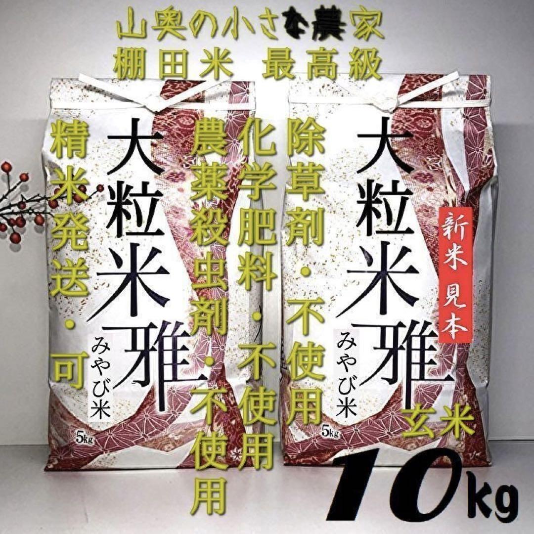 天のつぶ 20kg ⟡画像3枚目見てご検討してください⟡粒揃い抜群