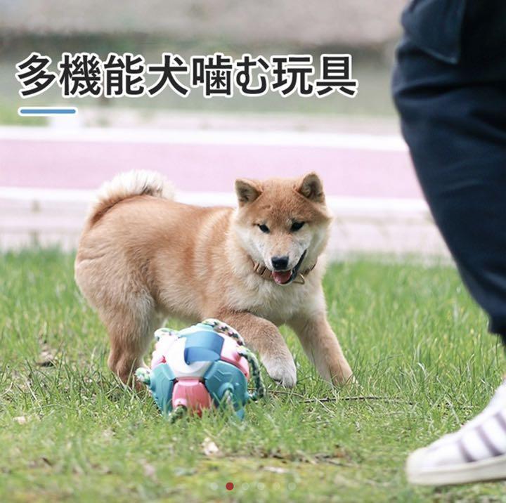 Frisbee Ball フリスビーボール 多機能犬噛む玩具 メルカリ