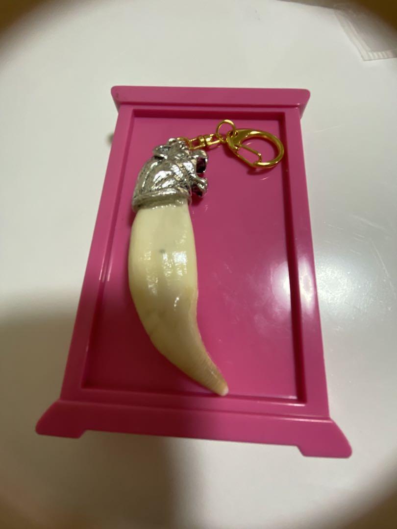 熊牙　熊歯　熊の牙ツキノワグマ牙　ネックレス　キーホルダー　新作　新品　送料無料