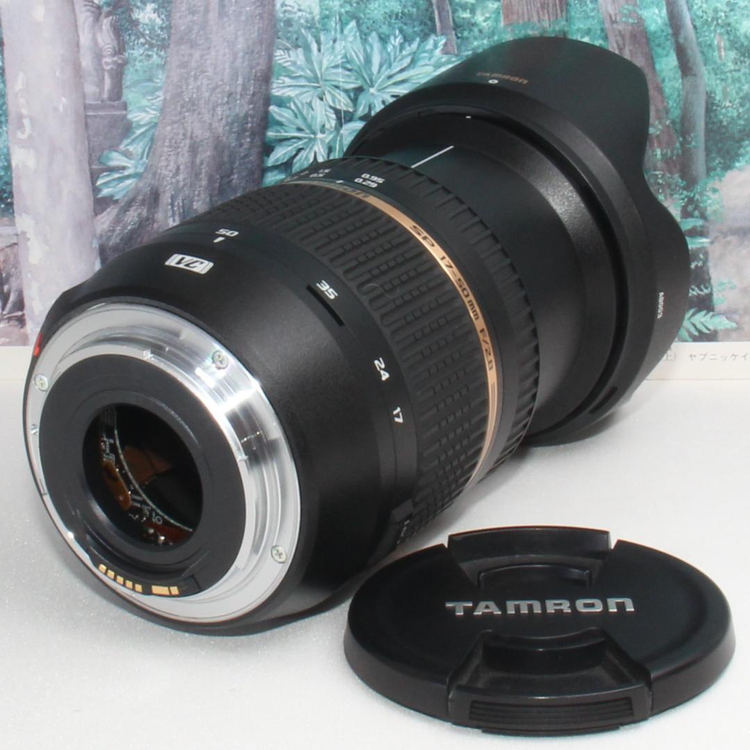 タムロン 大口径ズームレンズ SP AF17-50mm F/2.8 キャノン用