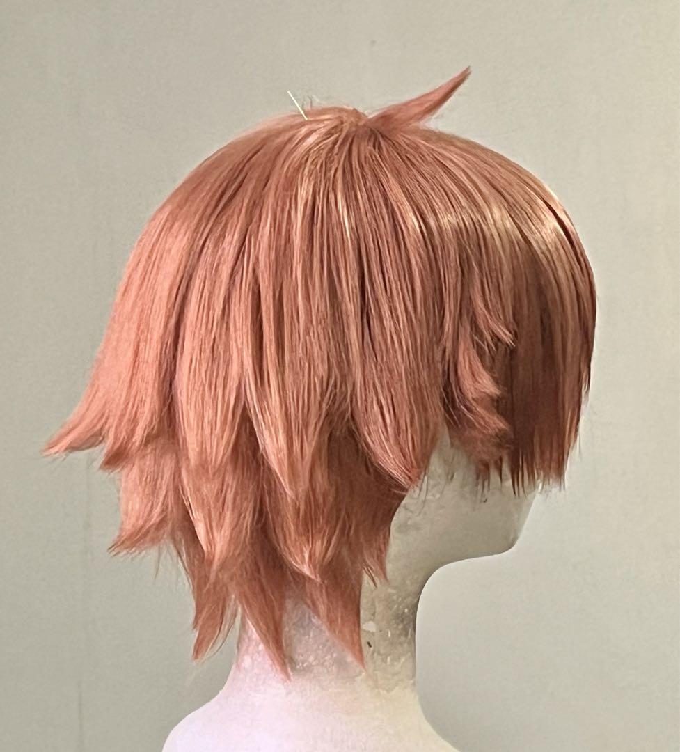 コスプレ ウィッグ ツイステ エース・トラッポラ