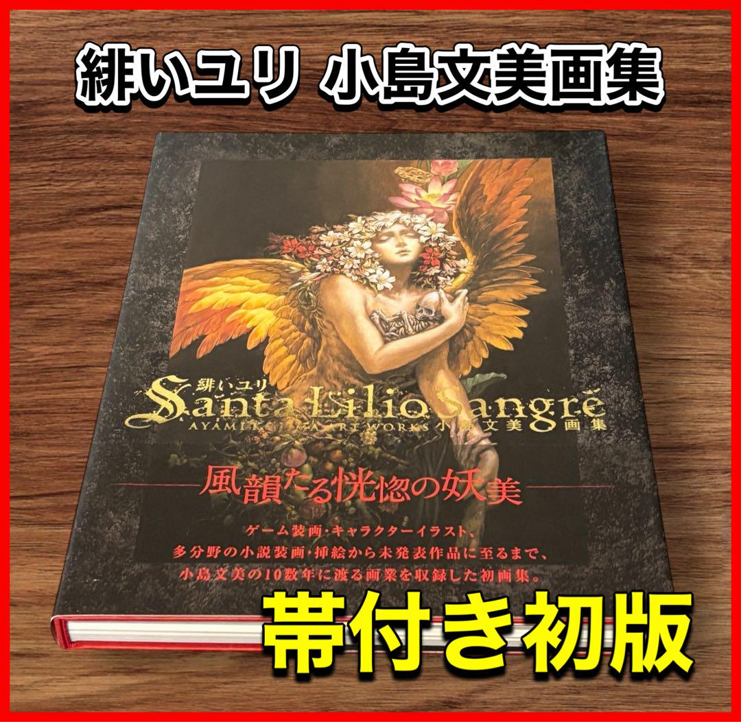希少　緋いユリ 小島文美画集　帯付き　初版