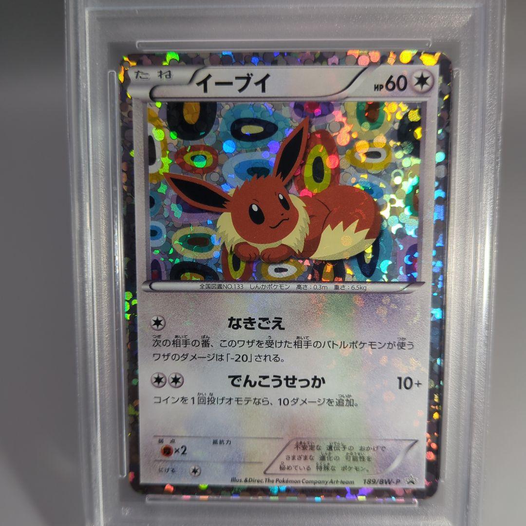 イーブイ プロモ　コレクションファイル　psa10