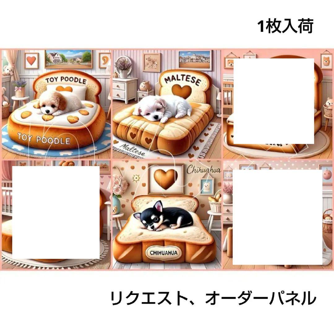 リクエスト、オーダーパネル チワワ シェルティ 柴犬 ポメラニアン トイプー 画像1