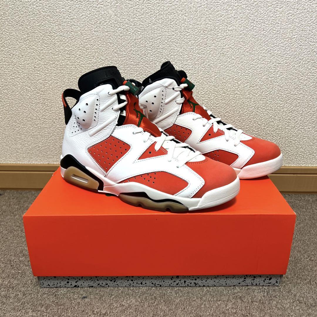 NIKE AIR JORDAN 6 RETRO ナイキ ジョーダン ゲータレード
