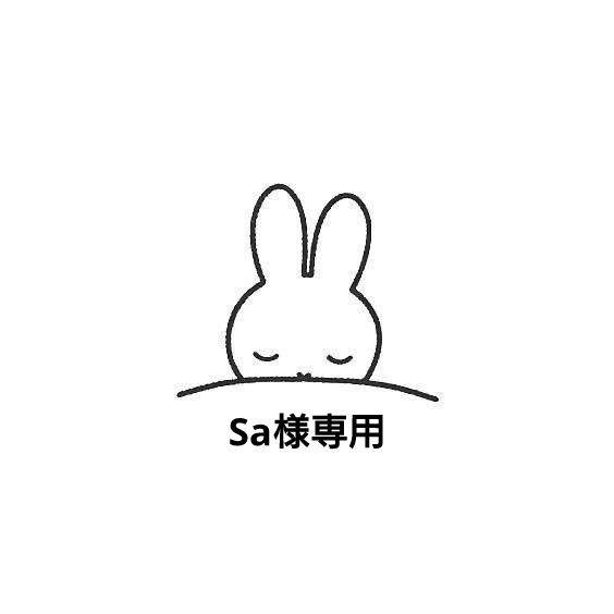 その他 Sa