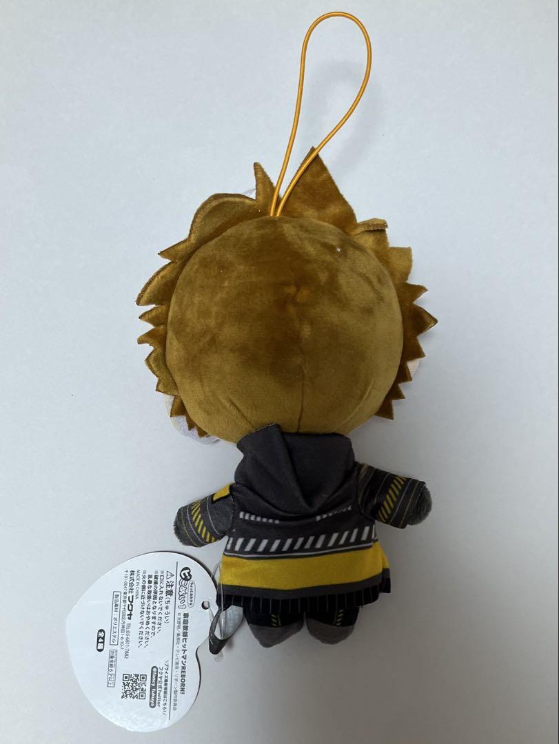 家庭教師ヒットマンREBORN! リボーン ちょっとおおきな ピこぬい 沢田綱吉