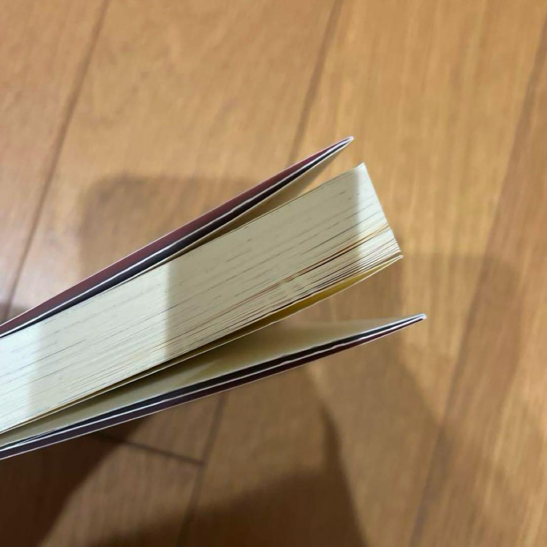 ガブリエラブックス 小説20冊セット まとめ売り 【2】