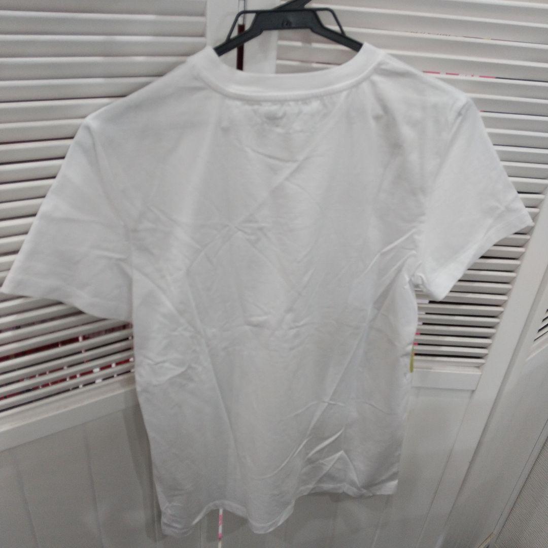 美品 マックスマーラ Tシャツ Mサイズ