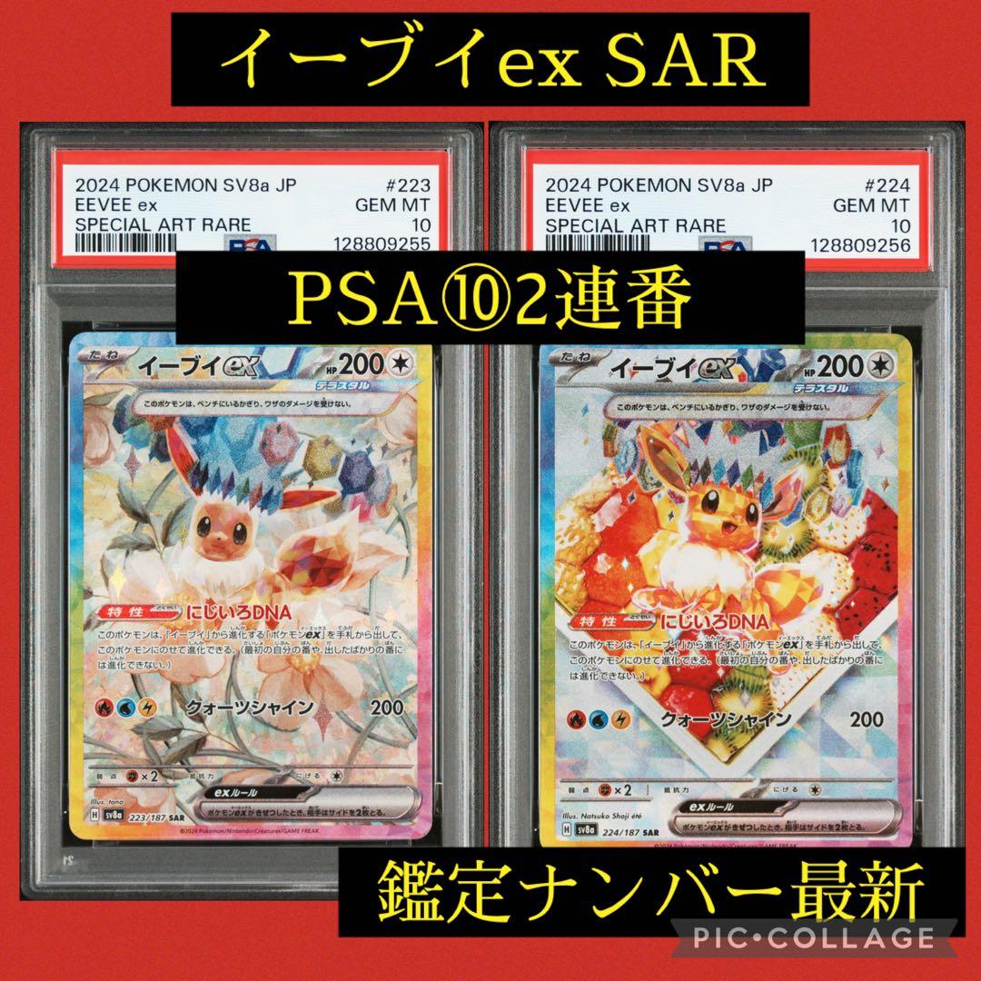 PSA10 連番 イーブイex 223 187 224 187 SAR ポケカ