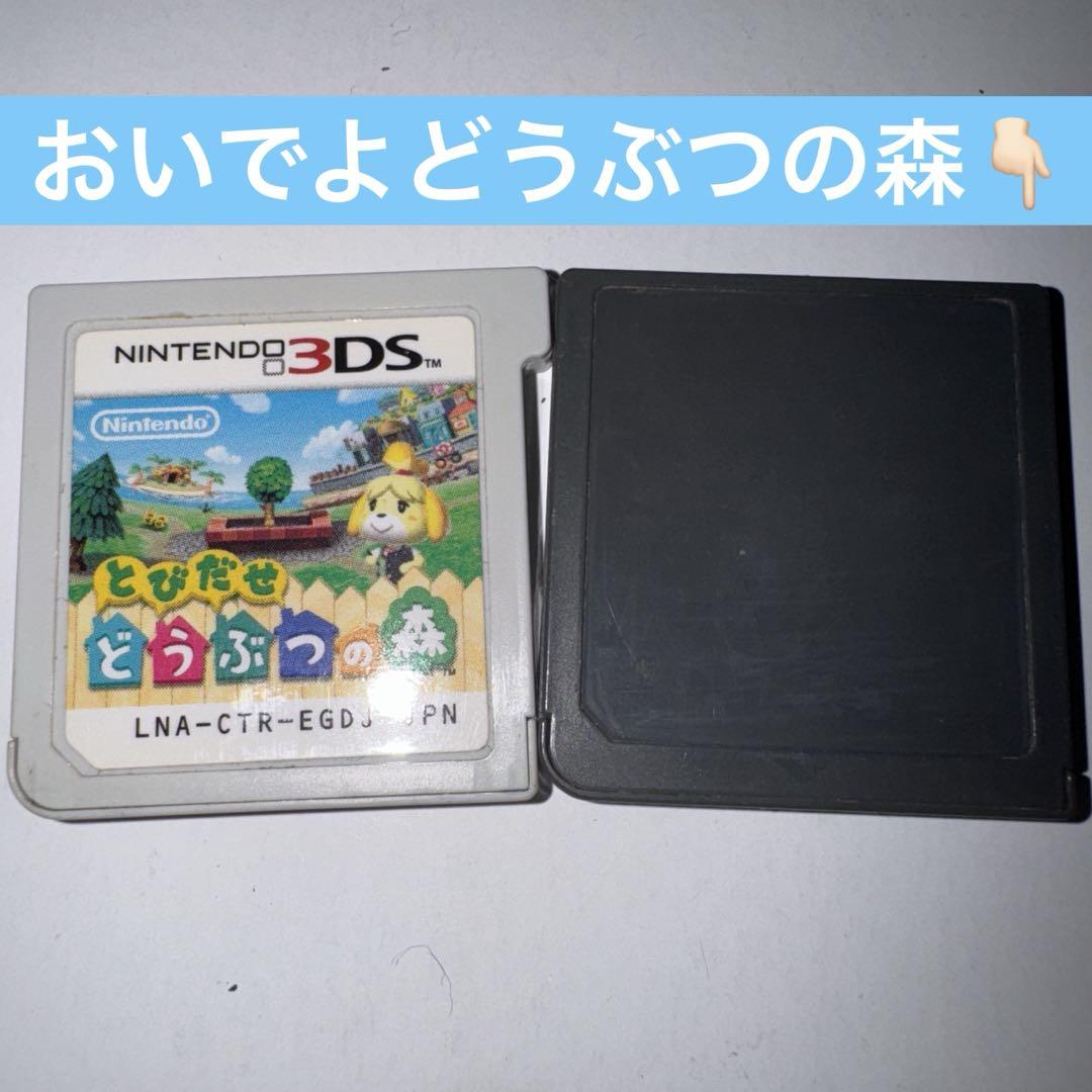 ニンテンドースイッチ どうぶつの森セット 同梱版