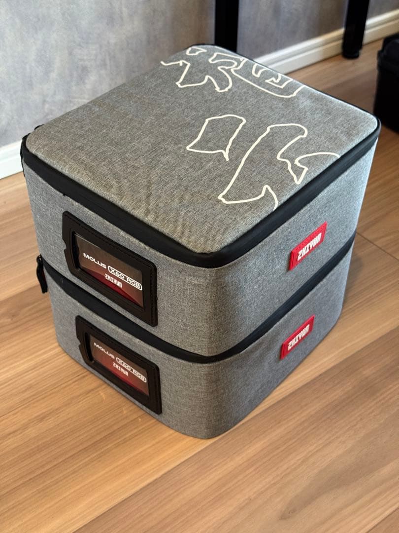 MOLUS X60 Combo-RGB 2灯セット