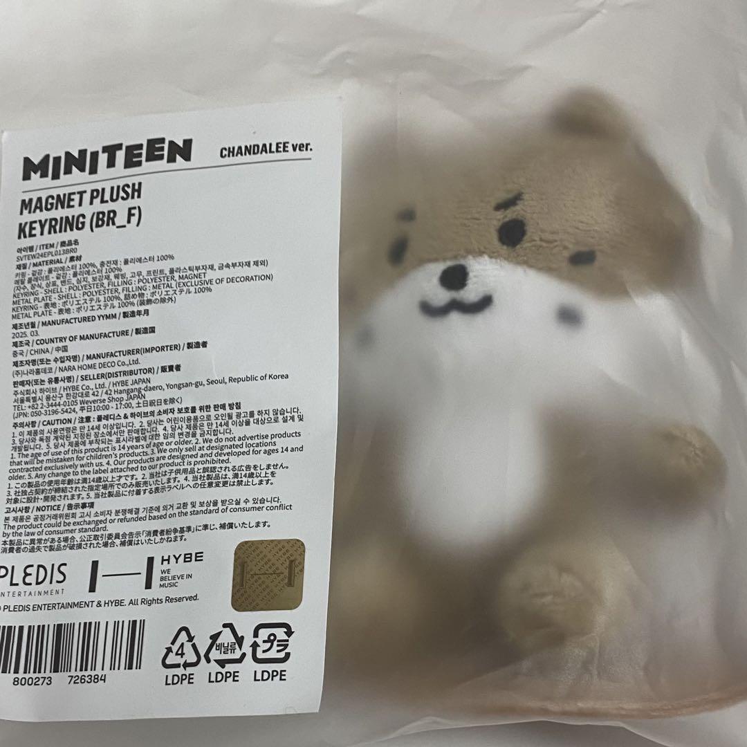 SEVENTEEN MINITEEN マグネット人形キーリング　ディノ SEVENTEEN - Magnet Plush Keyring [MINITEEN Official MD]