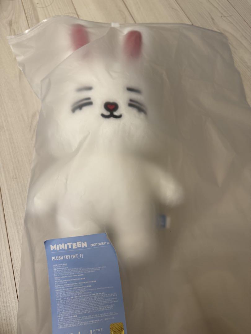 セブチ　seventeen スンチョル　エスクプス　ぬいぐるみ　miniteen