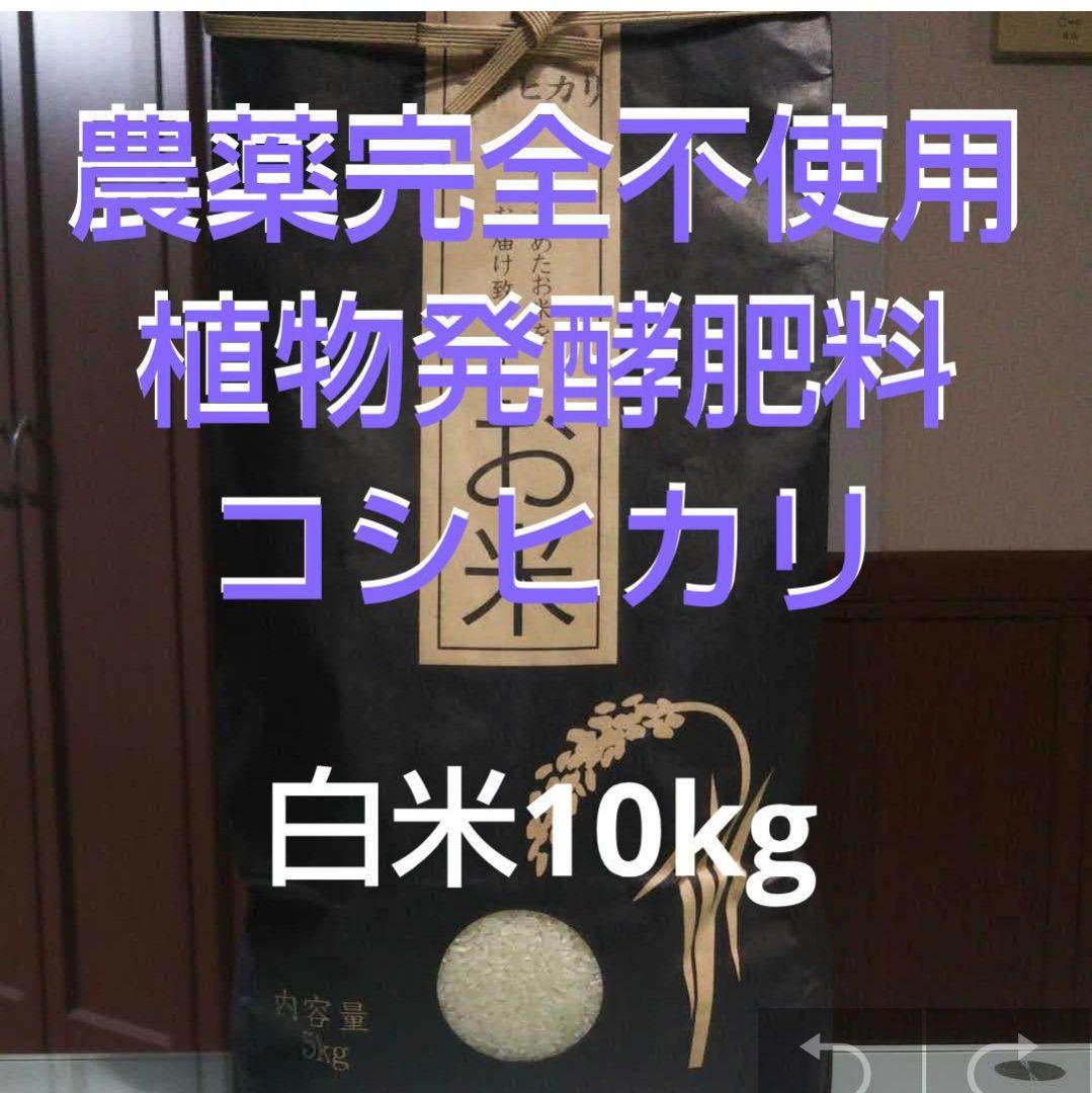 農薬完全不使用/植物発酵肥料コシヒカリ 白米10kg