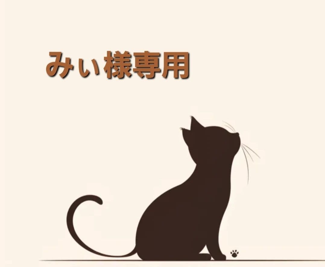 みい様専用 オーガナイザーポシェット