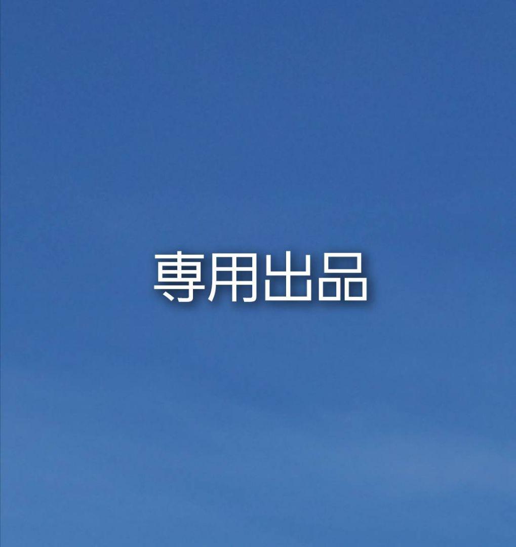 TM様専用