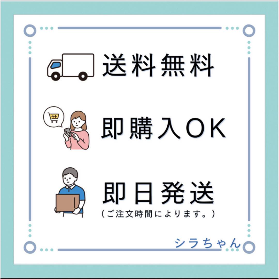 【美品、使用感少ない】ルイヴィトン モノグラム エテュイ・スティロ ペンケース