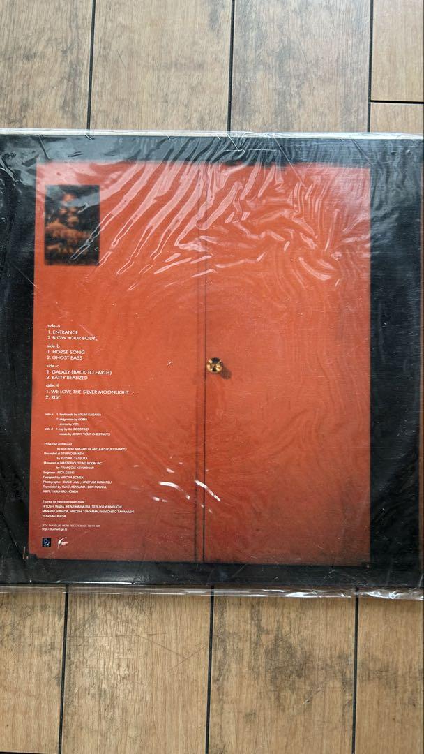 HEREST MOON JAPANESE SYNCHRO SYSTEM レコード
