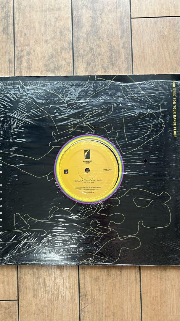 HEREST MOON JAPANESE SYNCHRO SYSTEM レコード