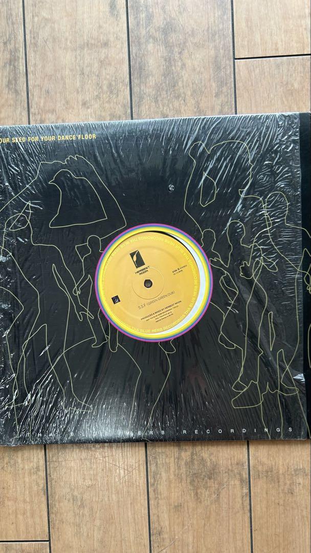 HEREST MOON JAPANESE SYNCHRO SYSTEM レコード