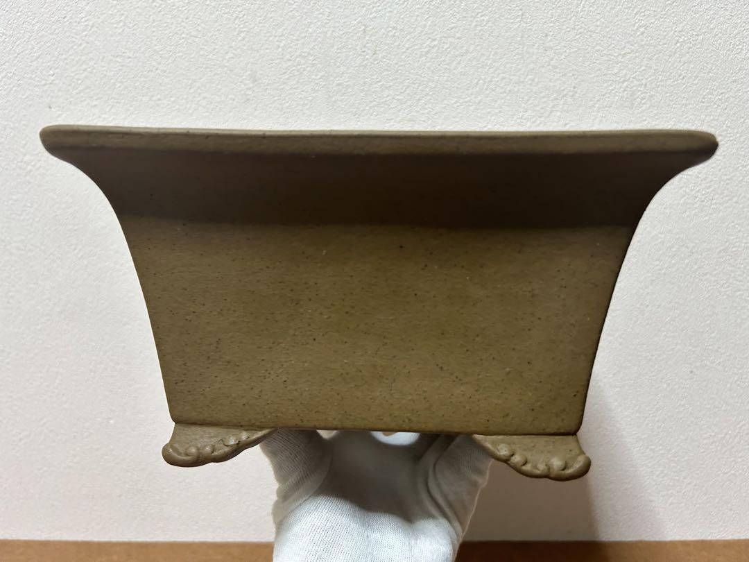 銭号　盆栽鉢　小品盆栽　山野草