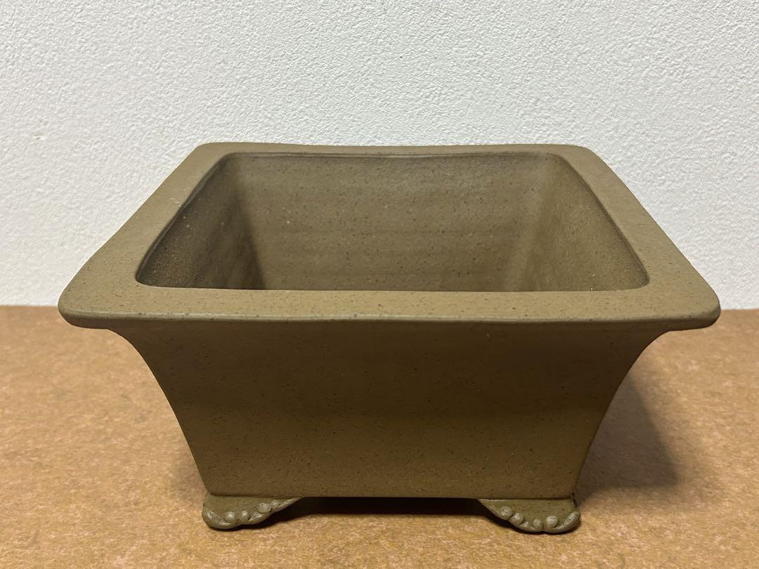 銭号　盆栽鉢　小品盆栽　山野草