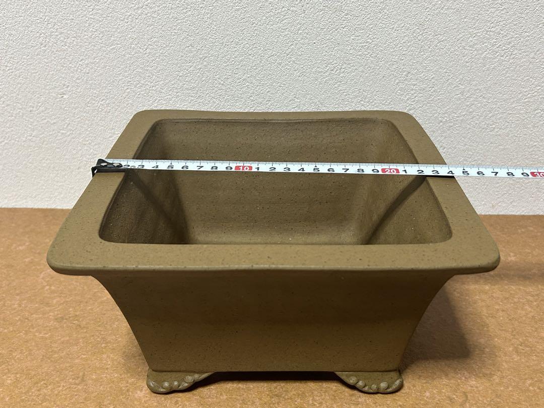 銭号　盆栽鉢　小品盆栽　山野草