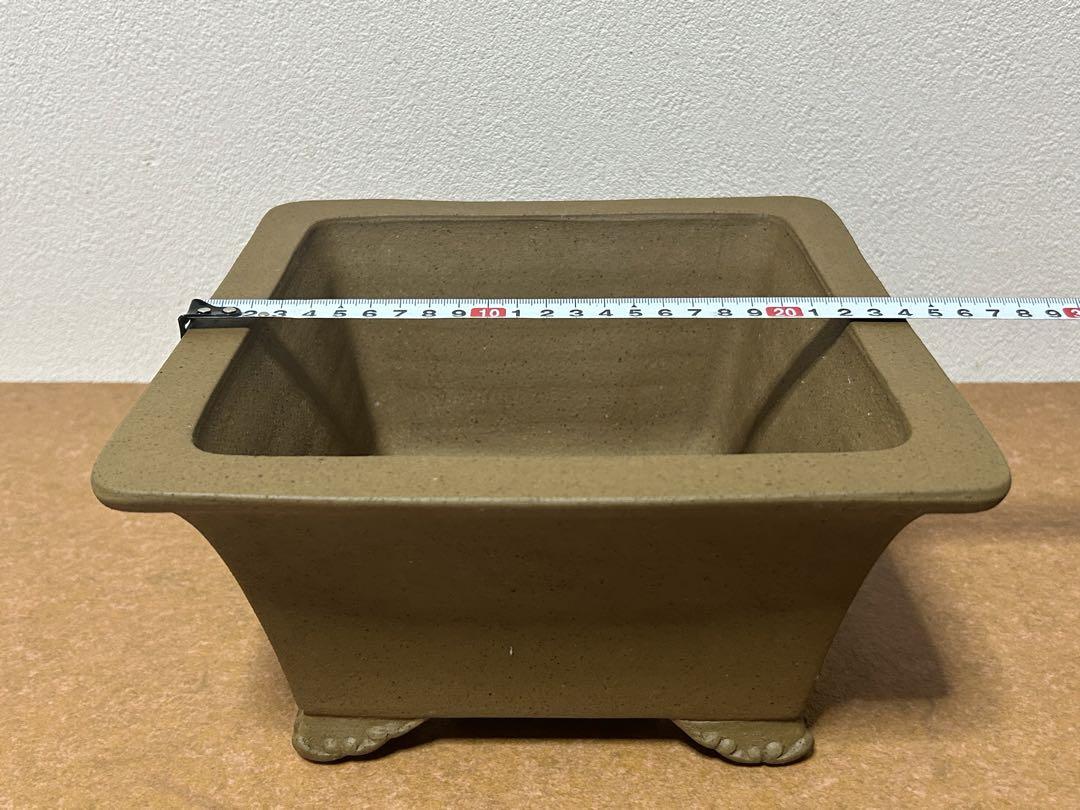 銭号　盆栽鉢　小品盆栽　山野草