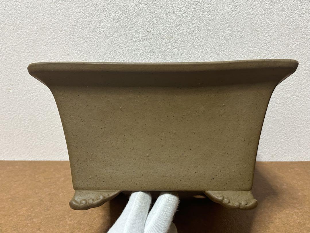 銭号　盆栽鉢　小品盆栽　山野草
