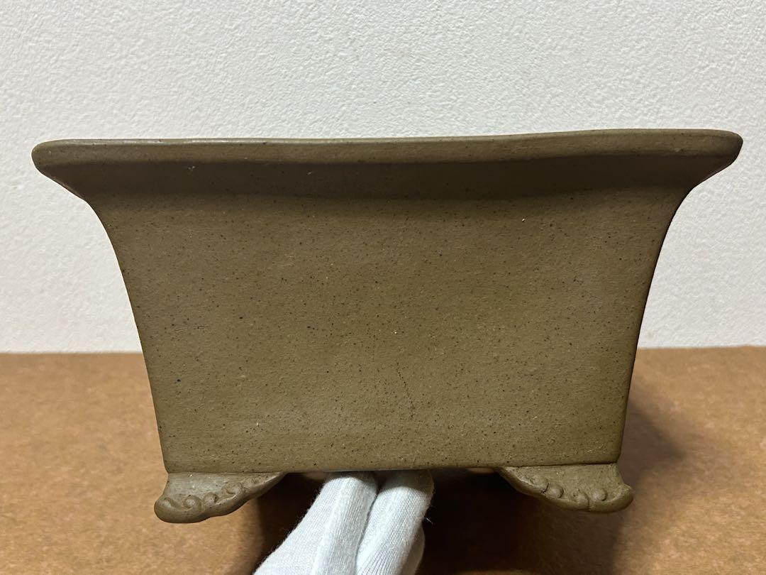 銭号　盆栽鉢　小品盆栽　山野草