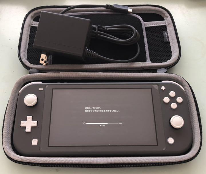 Nintendo Switch NINTENDO SWITCH LITE グレー - その他特別